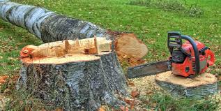 Best Hazardous Tree Removal  in Platteville, WI