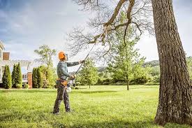 Lawn Watering Services in Platteville, WI