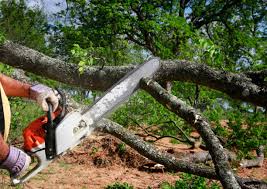 Best Lot and Land Clearing  in Platteville, WI
