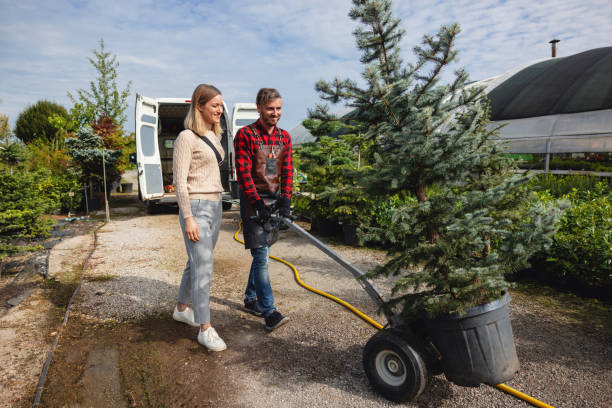 Best Utility Line Clearance  in Platteville, WI